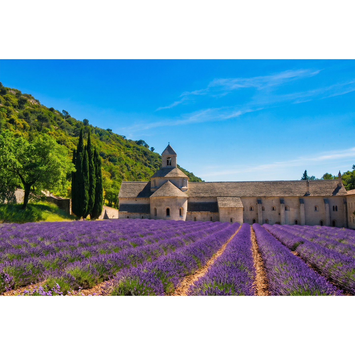 Abbaye Notre Dame de Sénanque