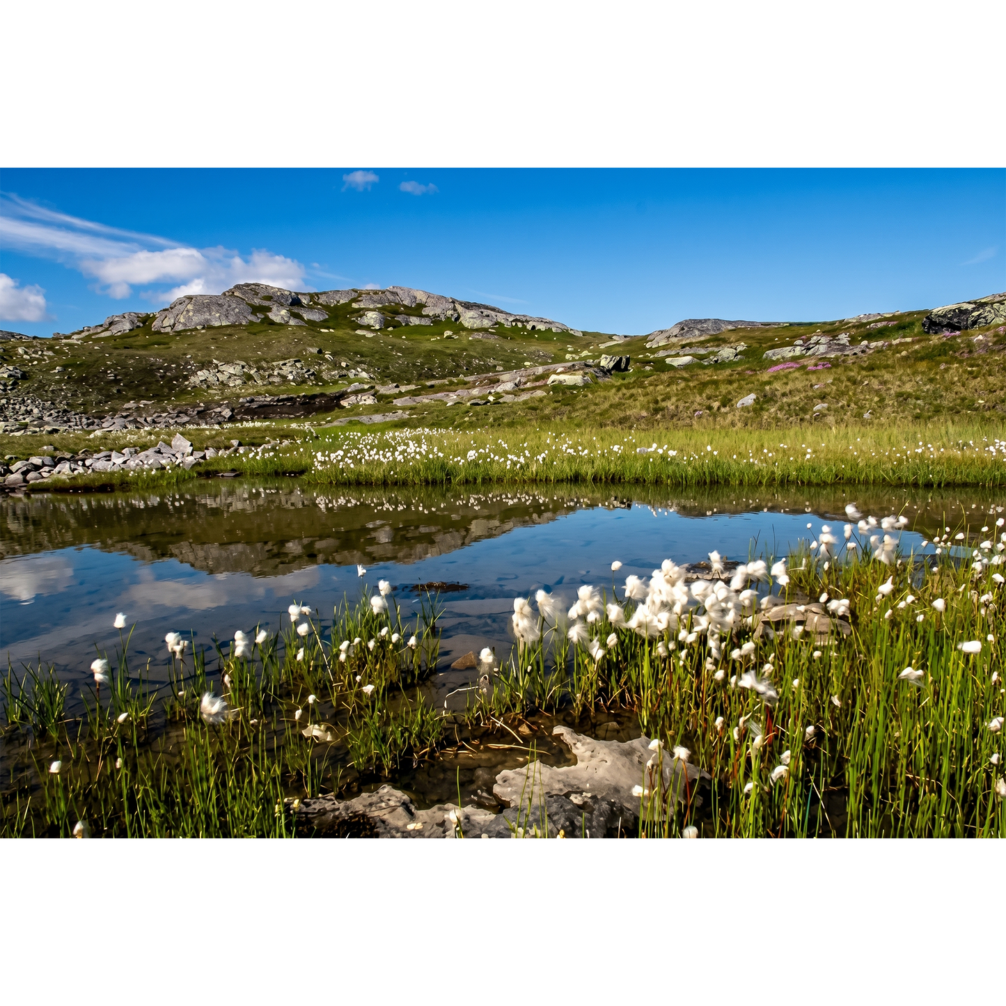 Arjeplog Fjäll