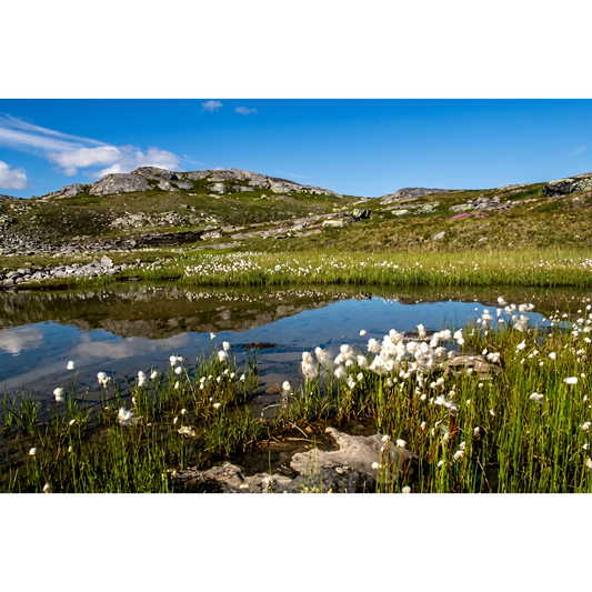 Arjeplog Fjäll