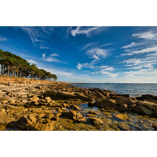Brittany Beach, Rocky Shoreline and Pine Forest