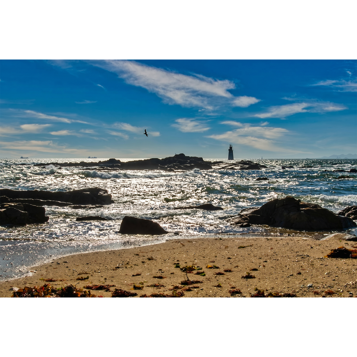 Brittany Beach, Sunlit Beach with Distant Lighthouse and Seabird