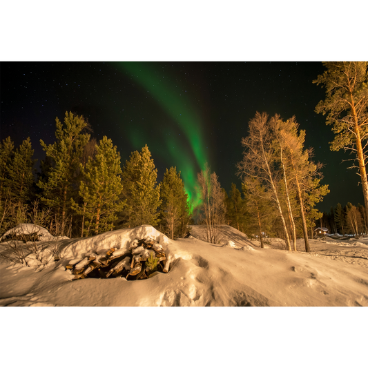 Northern Lights outside Alta - Vibrant Aurora over Snowy Arctic Forest