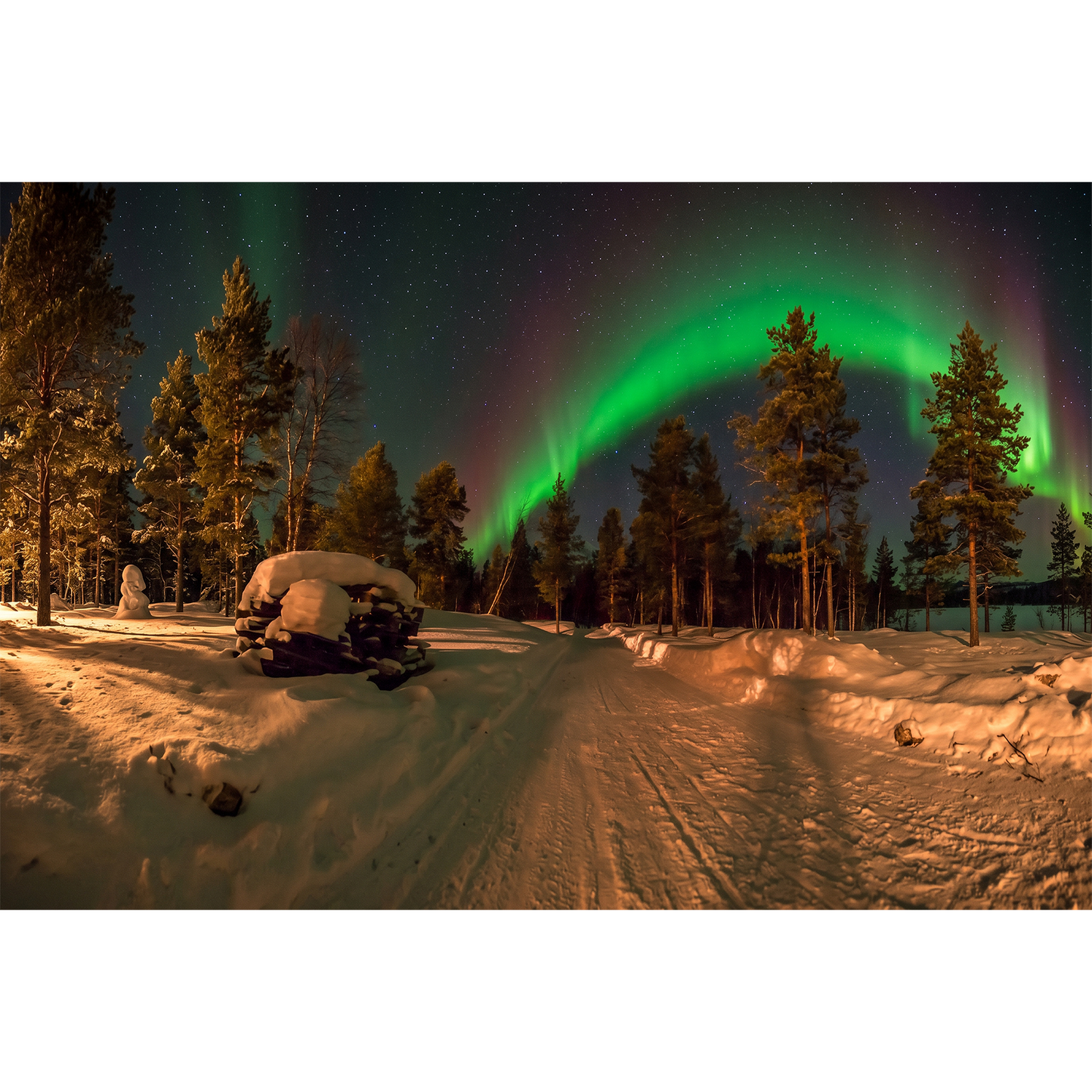 Northern Lights outside Alta - Curtain of Green Aurora Over a Snowy Forest Path